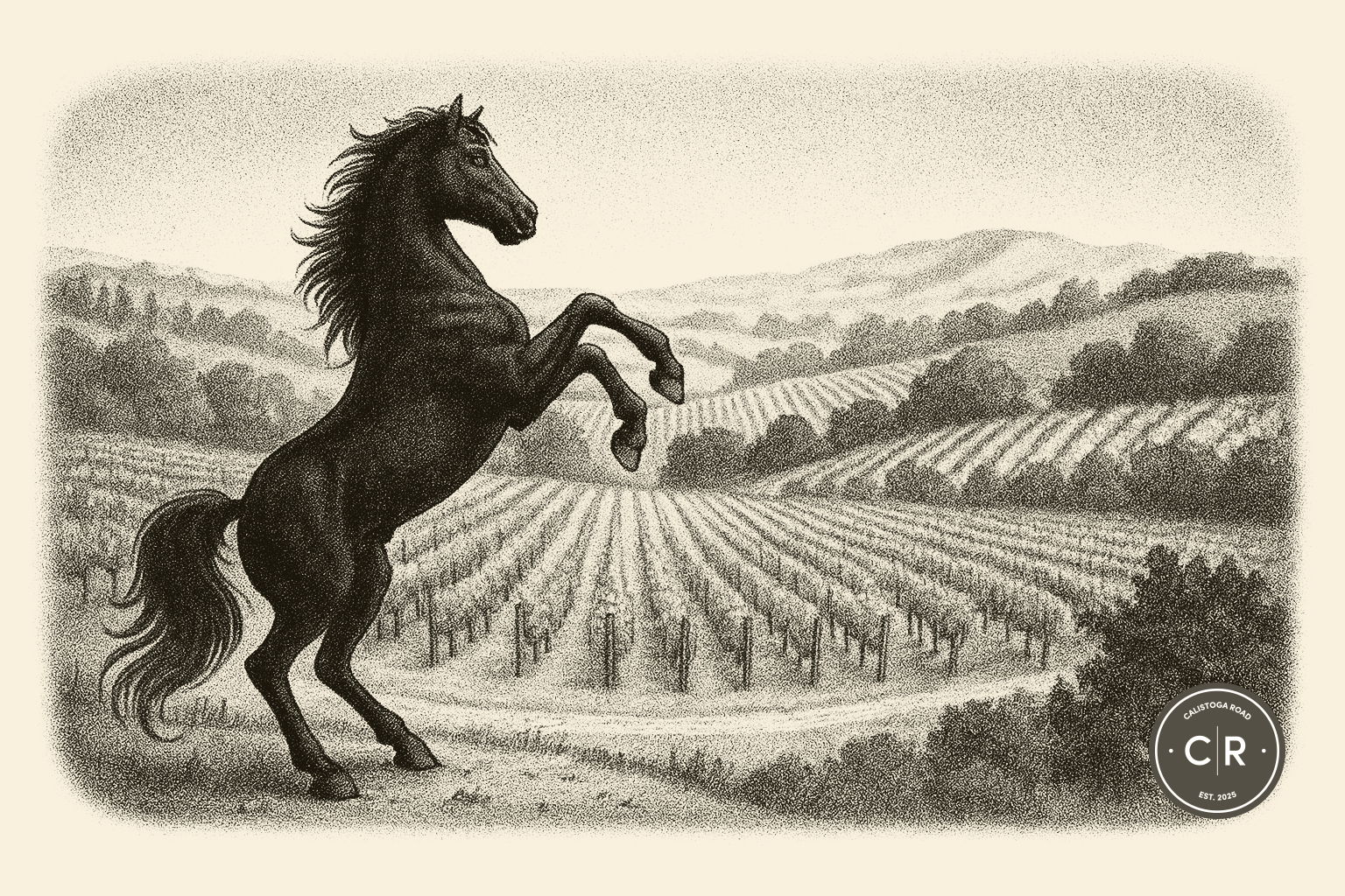 Cool Down: Post-Run Wine