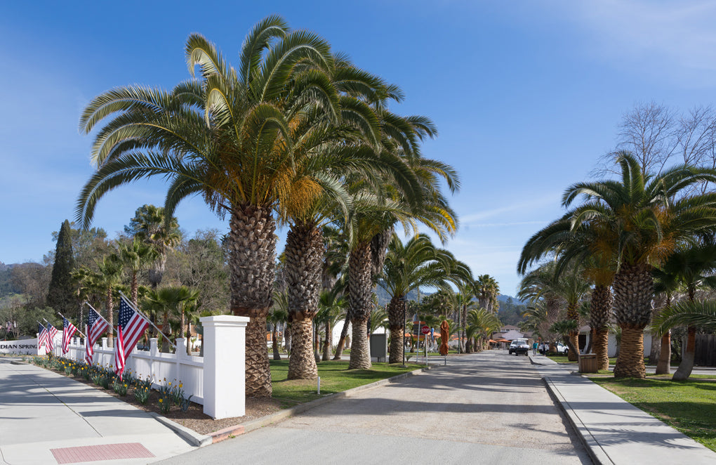 A Calistoga Morning at Indian Springs