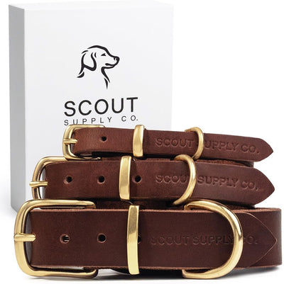 Scout Supply Leather Dog Collar
